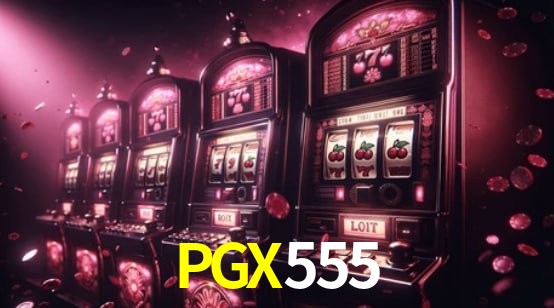 Programa VIP PGX555