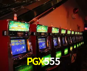 Descubra a Essência do PGX555: Nossa História e Compromissos